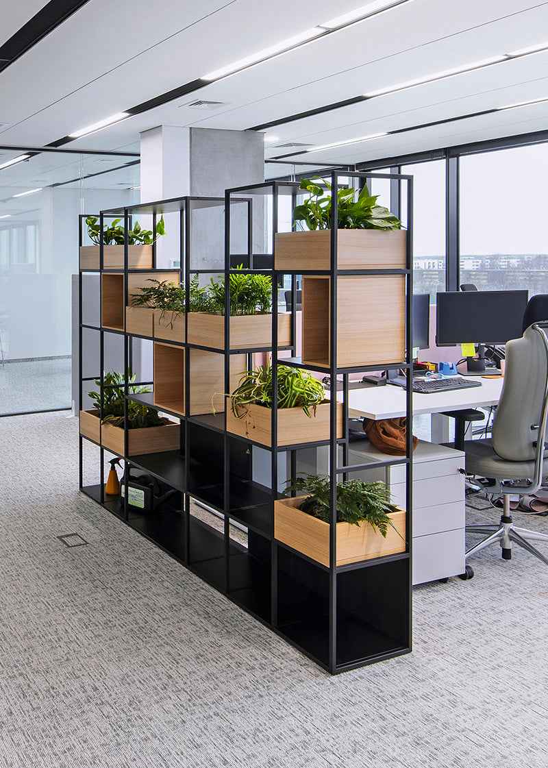 Designregal Stepp