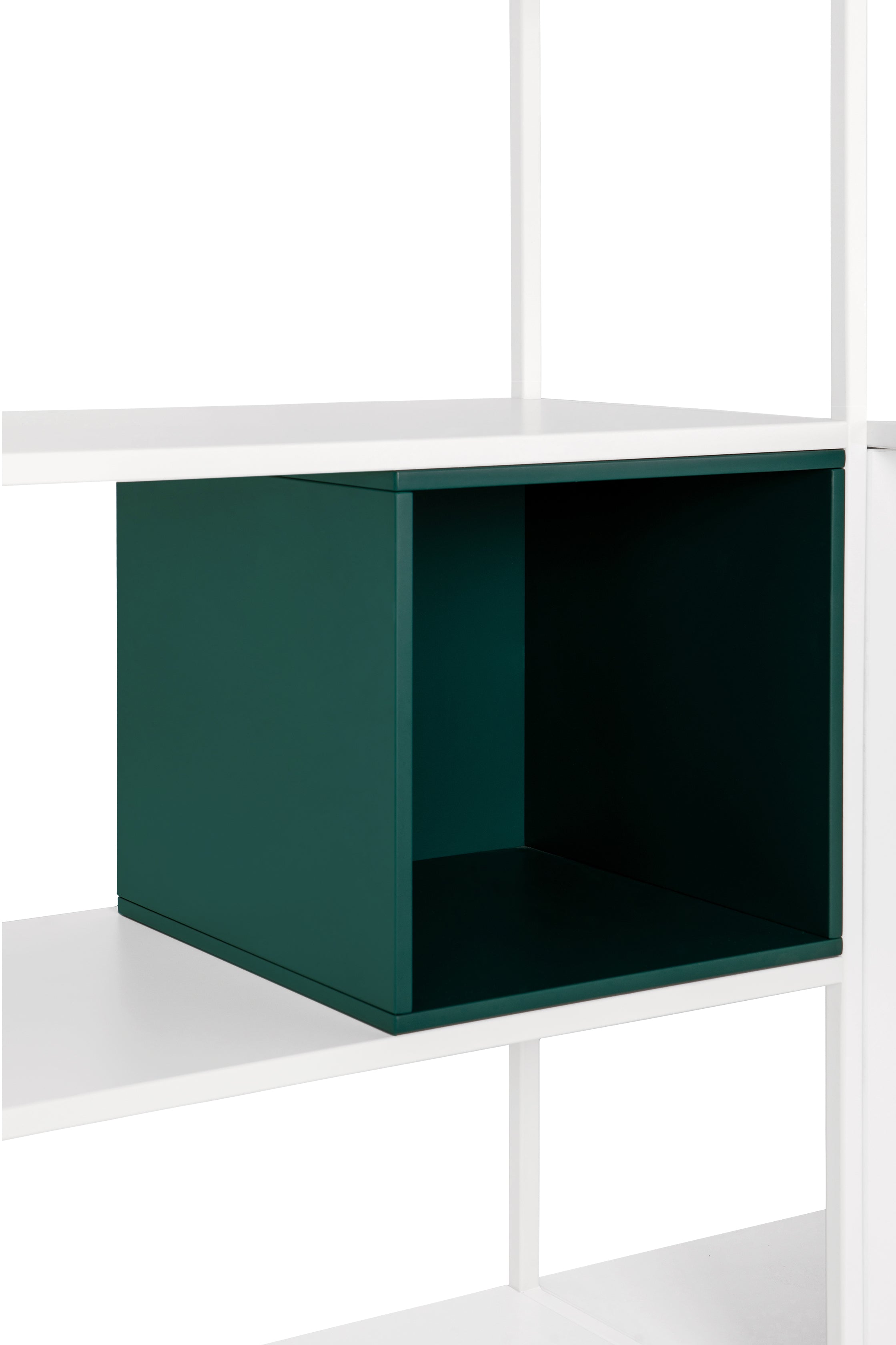 Designregal Stepp
